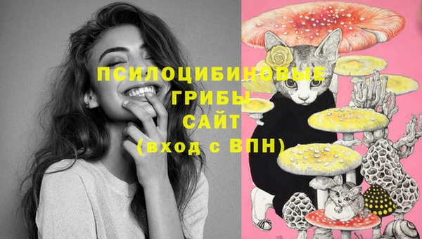 гашишное масло Михайлов