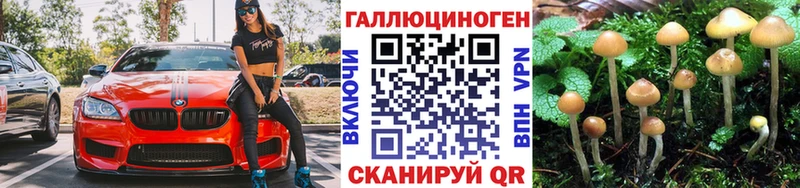 блэк спрут tor  Воронеж  Псилоцибиновые грибы мицелий 